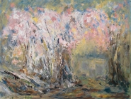 Cherry Blossoms, Spring